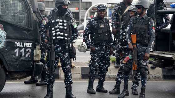 Babbar Nasara a Arewa: An Kashe Wani Kasurgumin Ɗan Bindiga da Addabi Al'umma