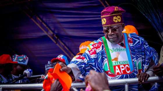 Trouble looms for Tinubu as court sets date to hear perjury case against him