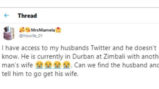 Lady checks her cheating husband's Twitter DM, exposes his chat with a married woman he plans to meet