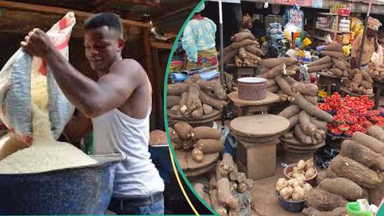 "Substantial fines and imprisonment": FG gives traders one-month deadline to crash food prices