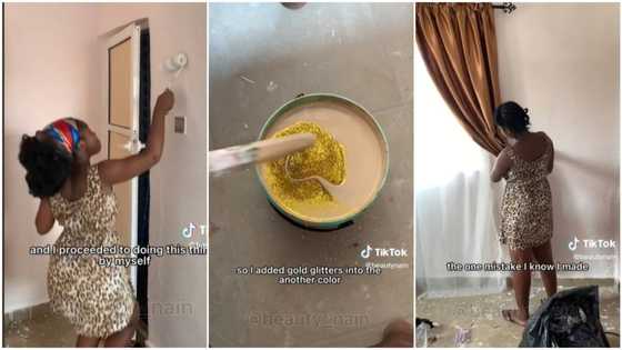 "I don't have money": After renting house, lady paints her apartment, decorates it to her taste