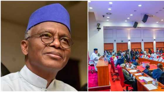 Kogi senator moves against El-Rufai during ministerial screening, details emerge