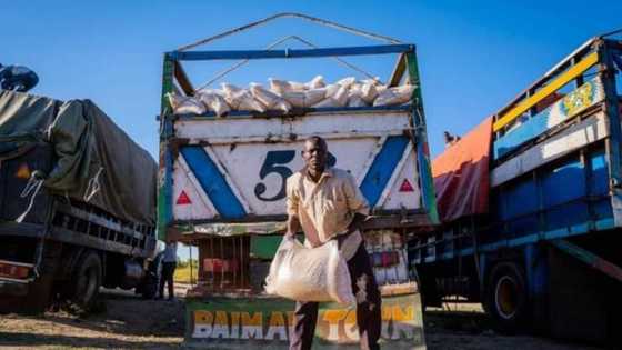 Flooding: Reactions as Buhari's govt provides relief materials to victims in affected states