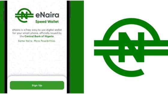 Just in: eNaira speed wallet returns to Google Play store 24 hours after app went missing