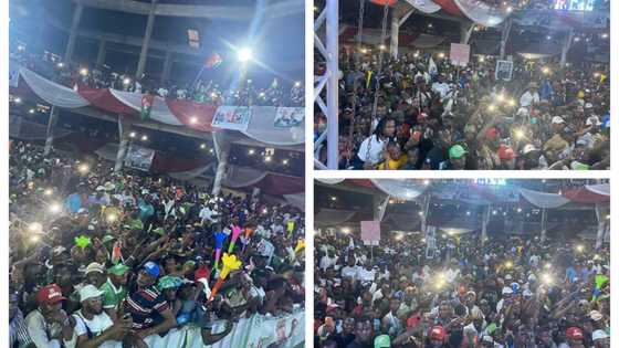 2023 election: Photos, videos emerge as Peter Obi shutdown Edo, Obidients troop out in mass