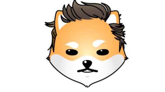 Dogelon Mars - More Meme Coins or Time to Shift to Promising Utility Coins Like Seesaw Protocol?