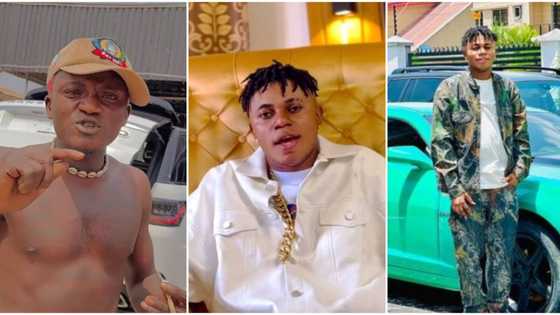 "Who go run your own mule": Fans react to DJ YK's video as he talks about his English error in Portable's clip
