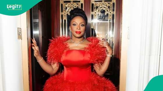 Doctors suspended over Chimamanda Adichie’s son’s death demand apology, allege unfair hearing