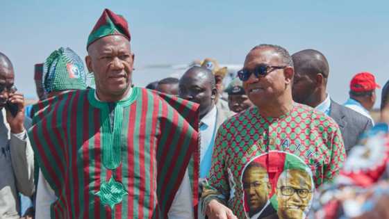 Obi, Datti to join Obidients for Labour Party's grand summits for elected candidates in Abuja