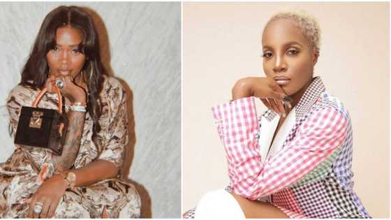 Industry beef: Tiwa Savage angrily rains abuses on Seyi Shay as they meet physically at hair salon