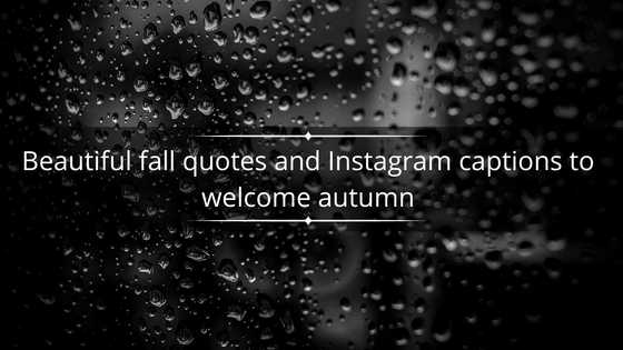 65+ beautiful fall quotes and Instagram captions to welcome autumn