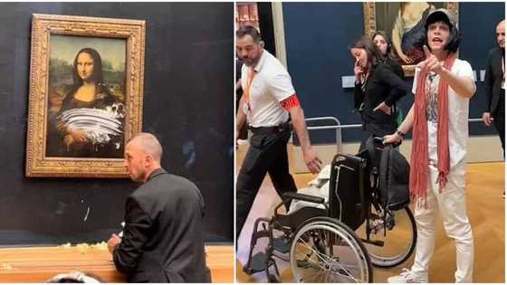 Man disguised as old woman on wheelchair attempts to destroy famous Mona Lisa portrait at Paris Museum