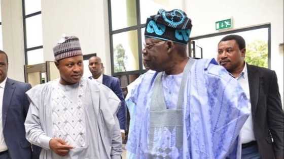 APC primary: You are a real master strategist, Senator Uba Sani reacts over Tinubu’s victory
