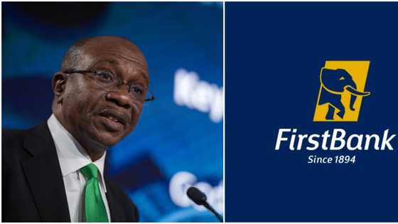 CBN Sack of Ibukun Awosika, Others Meant to Protect Shareholders, Depositors, says CBN