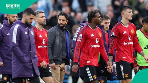 Mysterious cat who predicted Club World Cup final, chooses winner of Man United vs Chelsea