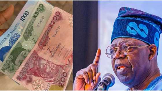 CBN: Tinubu Makes Strong Appeal After Naira Scarcity Protests Across Nigeria