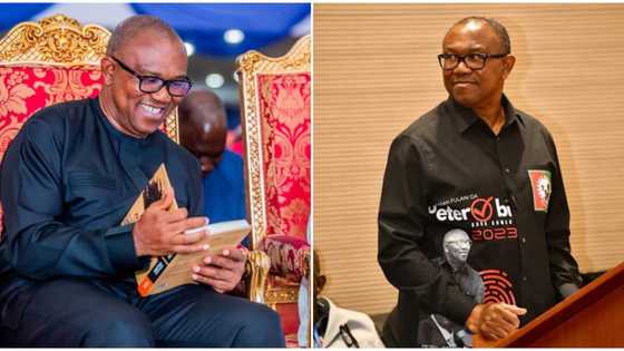 Peter Obi speaks on alleged plan to contest for presidency again in 2027, Tinubu's offer of appointment slots