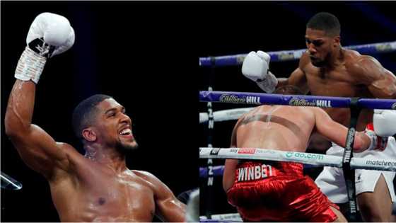 Anthony Joshua defeats Kubrat Pulev by TKO to successfully defend his WBA, WBO and IBF titles