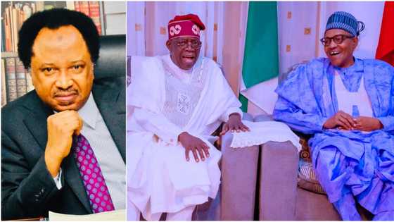 “Ignore Buhari, probe past government,” Shehu Sani tells Tinubu, gives reason
