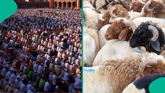 2026: US and other 11 countries where Eid al Adha are not public holidays