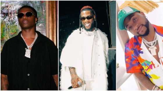 Kudos to Wizkid and Davido who allow others: Singer shades Burna Boy for performing alone at his concerts
