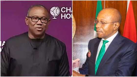 2023 elections: Emefiele cause of Nigeria’s fiscal tragedy? Peter Obi speaks