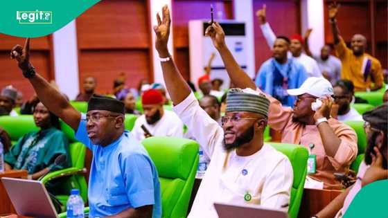 JUST IN: Amid minimum wage non-implementation, lawmaker sends key message to govs, details emerge