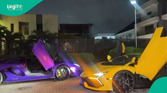Osimhen challenged to recreate Burna Boy's collection as singer splashes N1.5b on Lamborghini