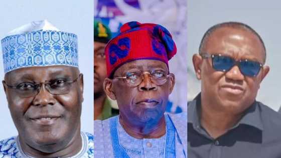 Tribunal judgement: Why Obi, Atiku should join Tinubu's govt, group reveals