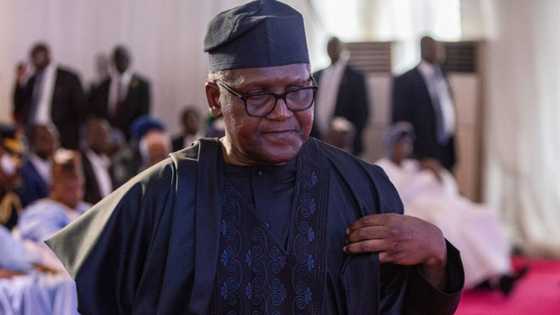 Dangote crashes on billionaire ranking but earns N72.2 billion in 8 hours as Dangote Cement share price drops