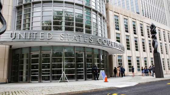 Full list: Names, ages of 11 Nigerians arrested, charged by US govt for N3.69bn fraud, they face up to 30 years in prison
