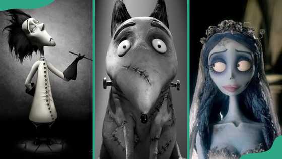 Through the years, spooky fans are still obsessed with these 15 most popular Tim Burton characters