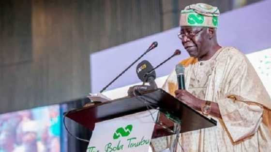 Separate yourself from Tinubu's dictatorship - APC chieftain tells northern senators
