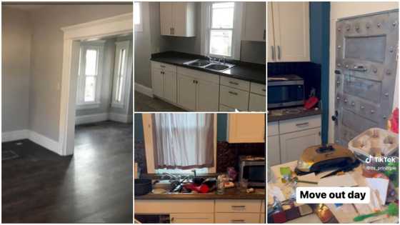 Landlord shares video of fine apartment with kitchen cabinet, cool interior decor before tenant messed it up