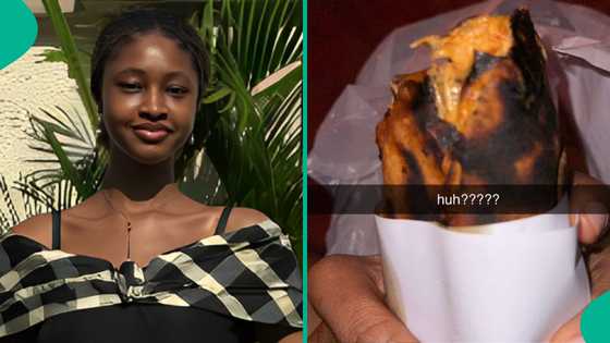 Lady fumes over shawarma delivered to her, shares photo: “I think say na bole”