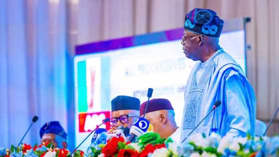 "Yan Najeriya Suna Farin Ciki da Mulkinka" An Faɗa Wa Shugaba Tinubu Halin da Mutane Ke Ciki