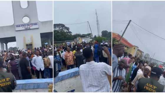 Polytechnic lecturers protest as Nigerian governor suspends rector over alleged corruption