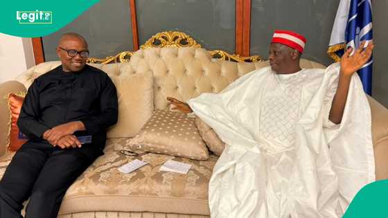 Peter Obi ya gana da madugun Kwankwasiyya, Kwankwaso ya kira shi da sabon suna