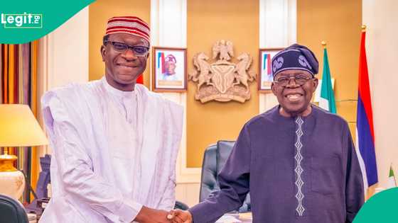 Kwankwaso to dump NNPP for APC? Abdulmumini Jibrin opens up