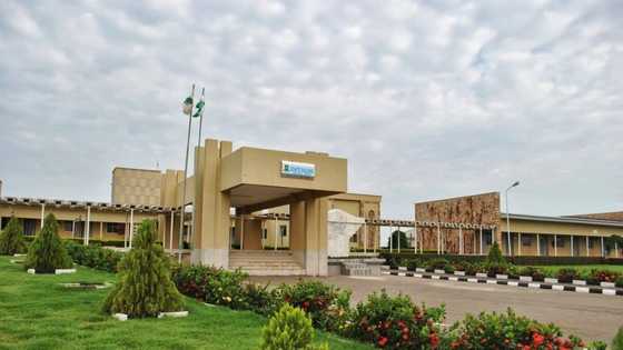 Yajin ASUU: Jami'ar Arewa ta yi watsi da ASUU, ta kira dalibai su dawo makaranta