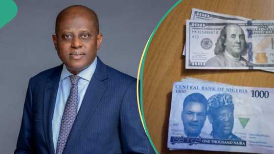More than N1,500/$: Naira hits new record low after CBN sets limits on banks' forex operations