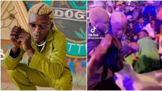 "Baba don high scatter": Portable's manager falls with him as she struggles to hold singer during performance