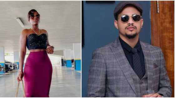 "'Moan' alone, leave me out of it": BBN's Alex carpets man who wants her to still be mourning Rico Swavey