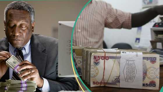 No more N1,660: Naira finally appreciates against dollar in parallel market, experts give reasons