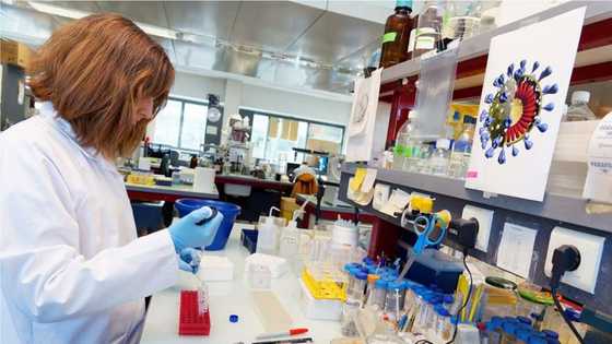 Fear as COVID-19 variant killing people in UK found in Nigeria, scientists warn as cases rise