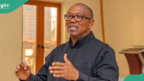 “How Nigeria is gradually becoming a lawless nation,” Peter Obi shares details