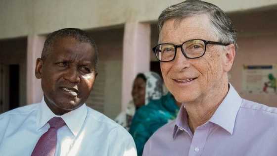 Dangote, Bill Gates Za Su Gana Da Tinubu A Ranar Litinin
