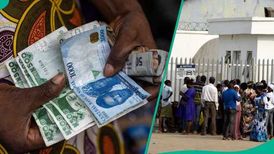 CBN releases how much Access, UBA, GTB, other banks pay as savings rate for deposits