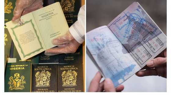 Nigerians React as Seychelles allegedly places visa van on Nigerian passport holders