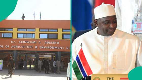 Gambian government university renames faculty after influential Nigerian Akinwumi Adesina